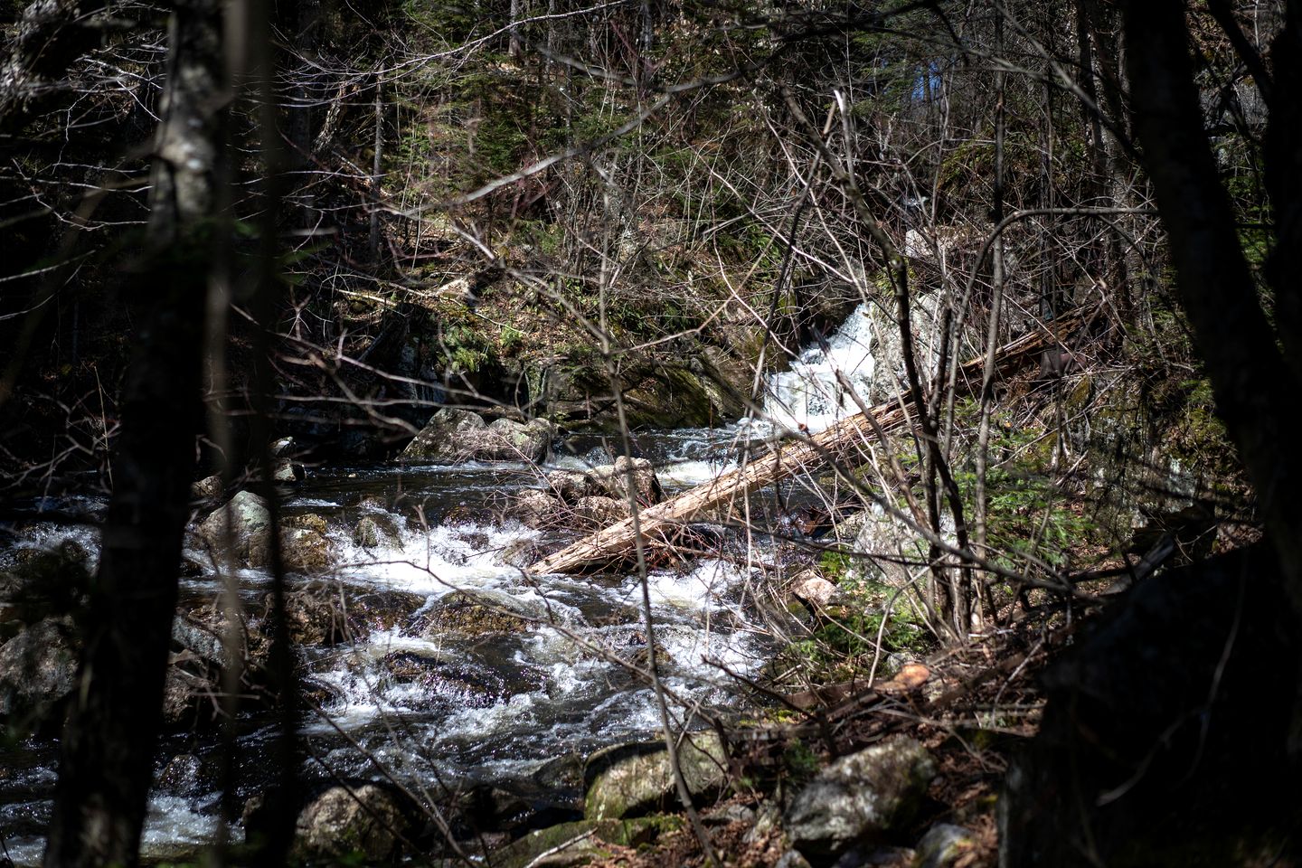 Cozy Yurt Surrounded by Trees with Beautiful Lake Views for a Relaxing Getaway in Saint-Jean-Des-Piles, Quebec