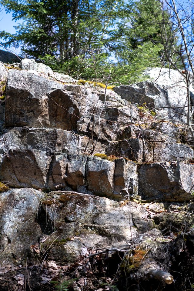 Cozy Yurt Surrounded by Trees with Beautiful Lake Views for a Relaxing Getaway in Saint-Jean-Des-Piles, Quebec