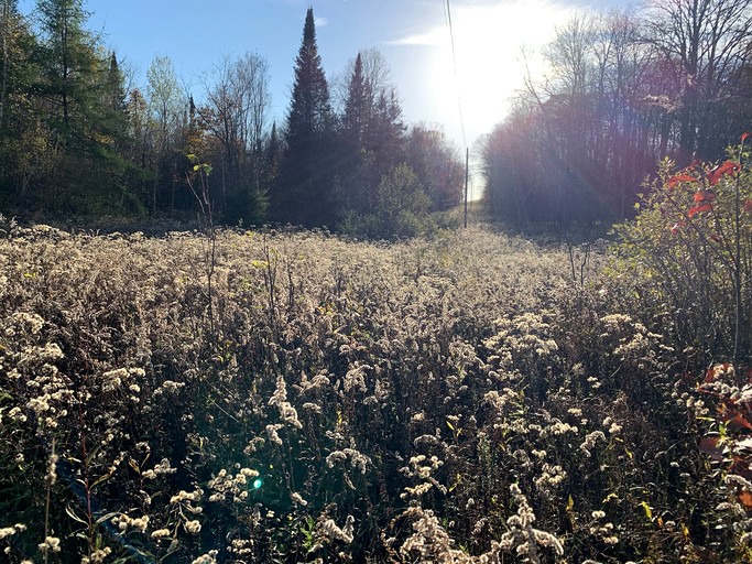 Yurts (Canada, --, Ontario)