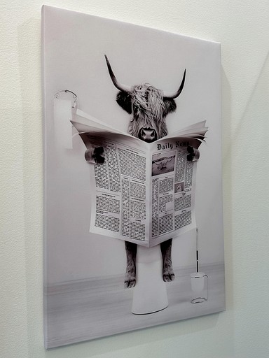 Cabins (United States of America, New Braunfels, Texas)