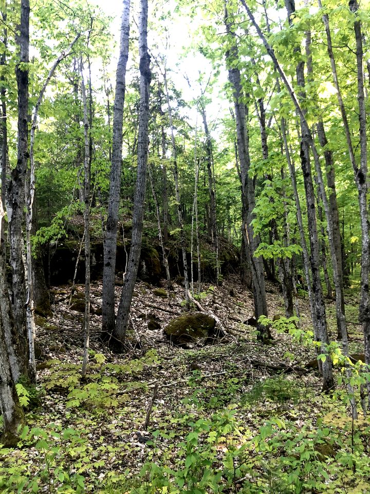 Cozy Off-Grid Canvas Bell Tent Surrounded by Nature for a Peaceful Getaway in Tehkummah, Ontario