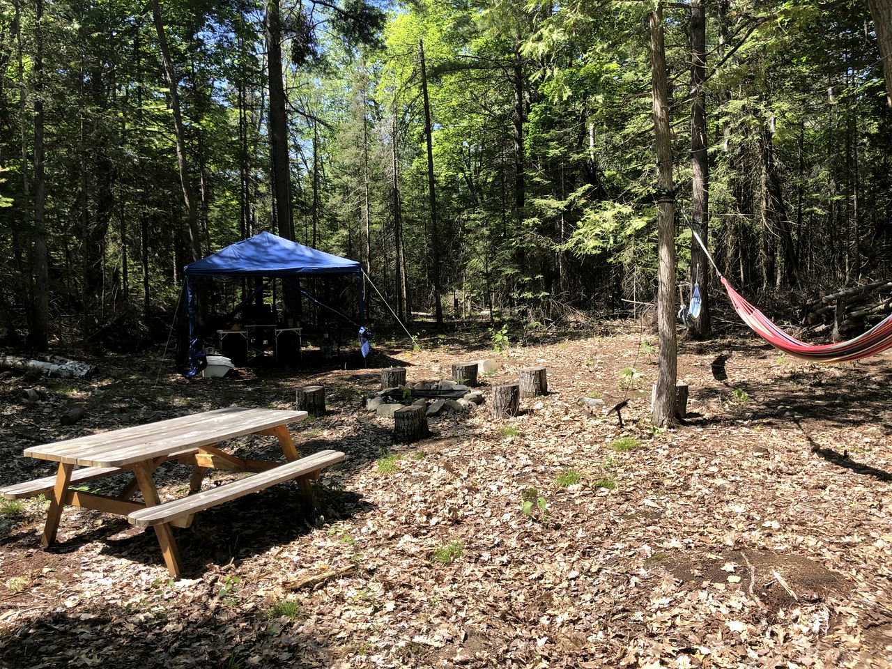 Cozy Off-Grid Canvas Bell Tent Surrounded by Nature for a Peaceful Getaway in Tehkummah, Ontario