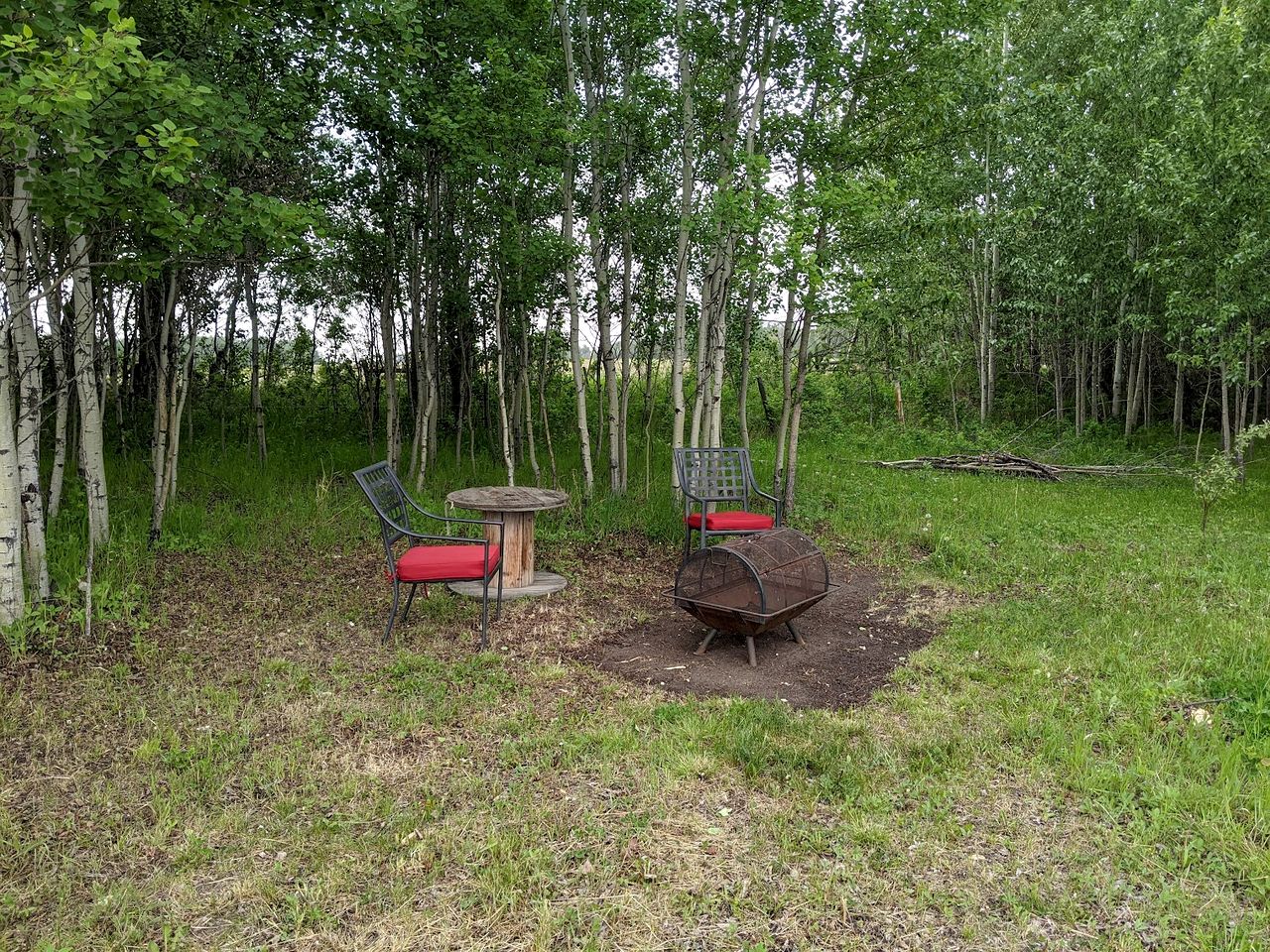 Beautiful Pet-Friendly Bell Tent for a Peaceful Off-Grid Getaway in Westlock County, Alberta