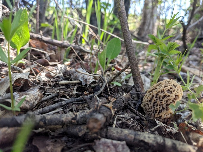Bell Tents (Canada, --, Alberta)