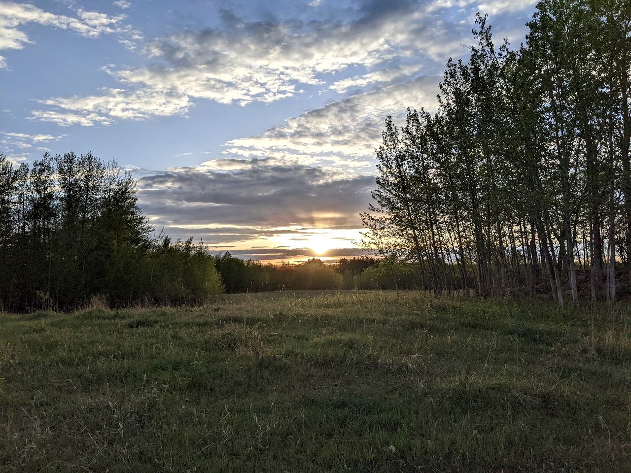Beautiful Pet-Friendly Bell Tent for a Peaceful Off-Grid Getaway in Westlock County, Alberta