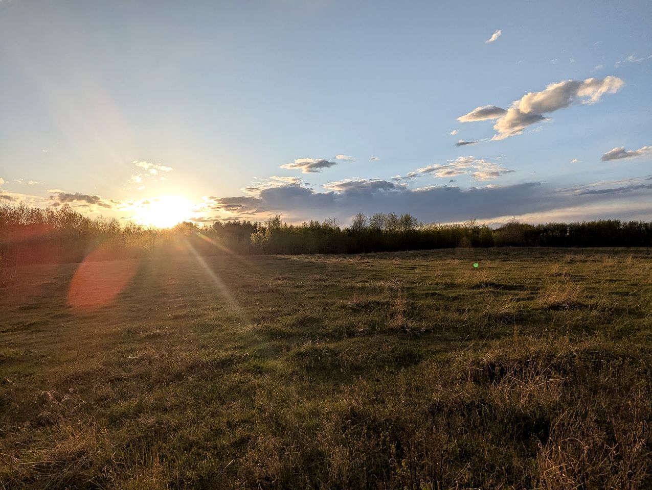 Beautiful Pet-Friendly Bell Tent for a Peaceful Off-Grid Getaway in Westlock County, Alberta