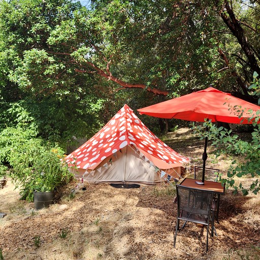 Bell Tents (United States of America, Willow Creek, California)