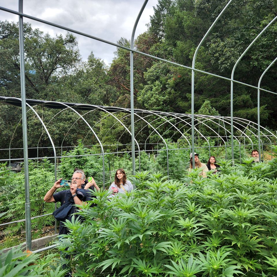 Cozy Off-Grid Bell Tent Glamping Retreat on a Regenerative Farm in Willow Creek, California