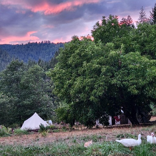 Bell Tents (United States of America, Willow Creek, California)