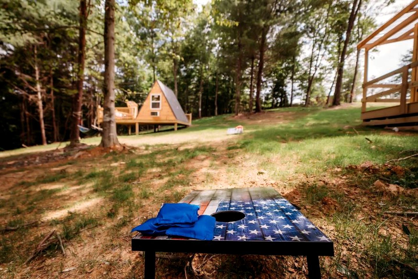 Cozy Modern A-Frame with Private Access Trail to Black Creek in Robbins, Tennessee