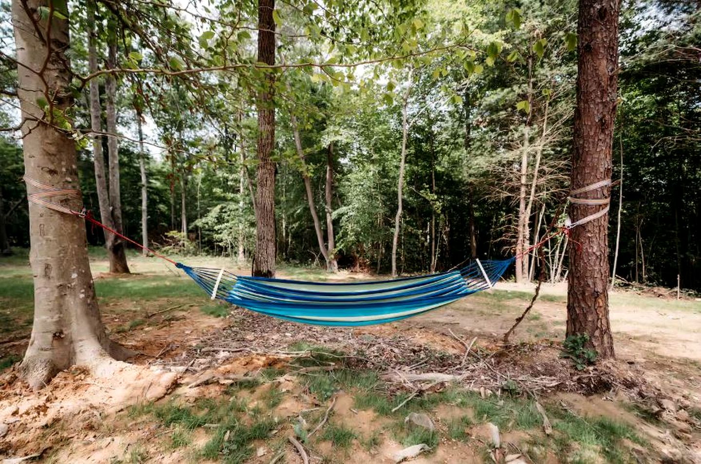 Cozy Modern A-Frame with Private Access Trail to Black Creek in Robbins, Tennessee