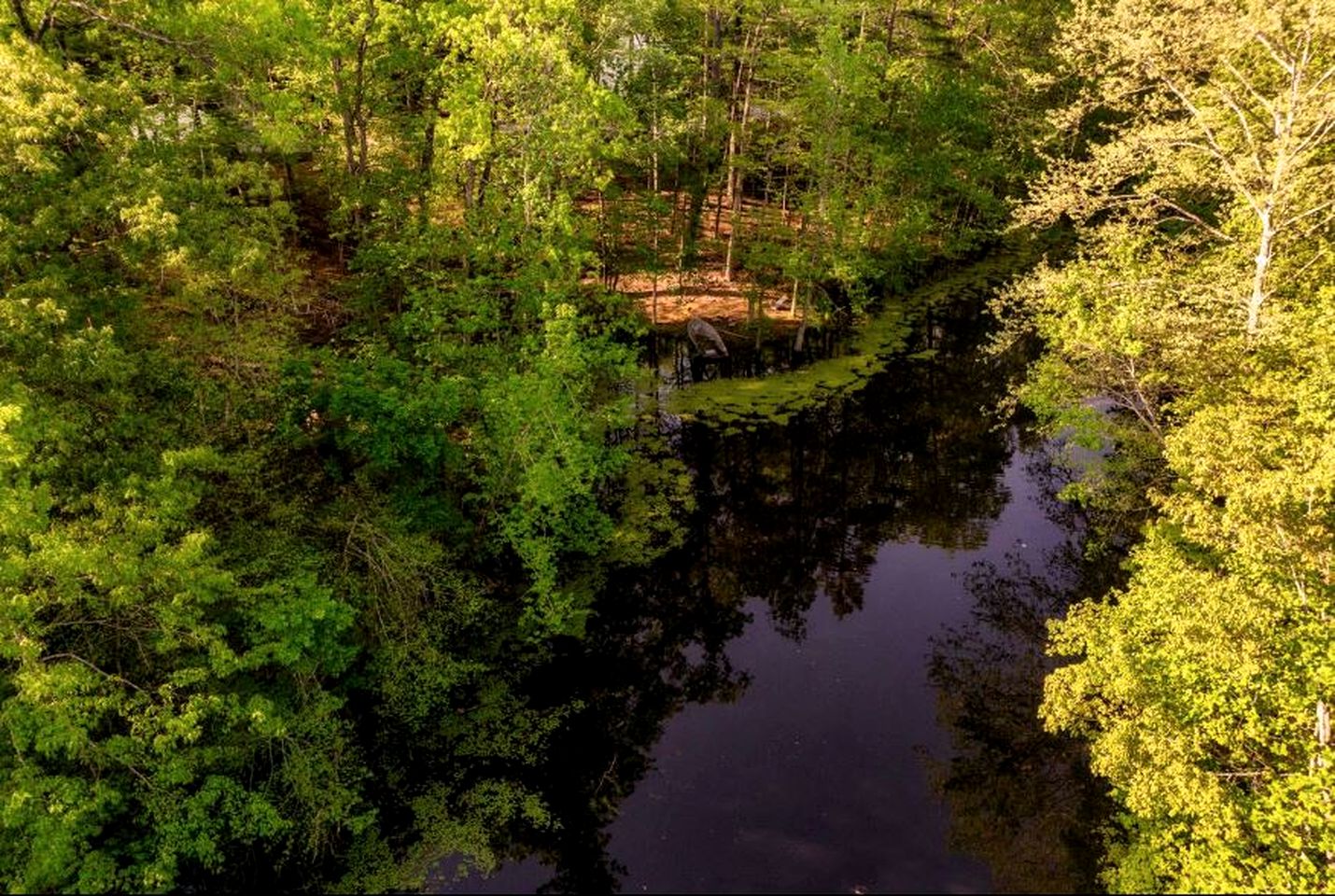 Cozy Dome Nestled in the Trees for an Unforgettable Couples Glamping Getaway in Scott County, Tennessee