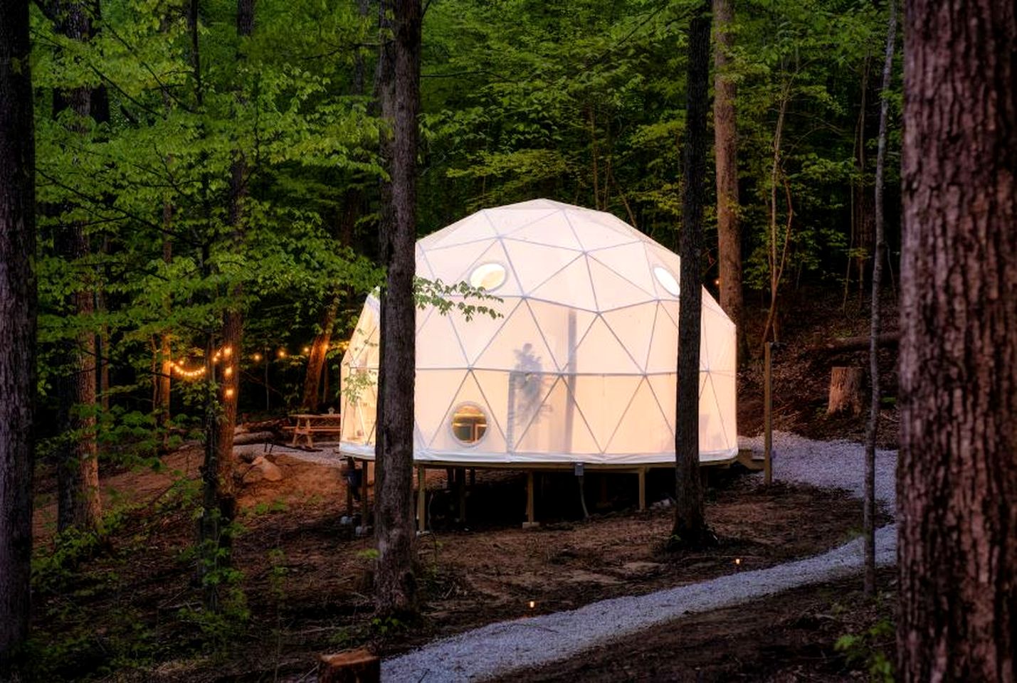 Cozy Dome Nestled in the Trees for an Unforgettable Couples Glamping Getaway in Scott County, Tennessee