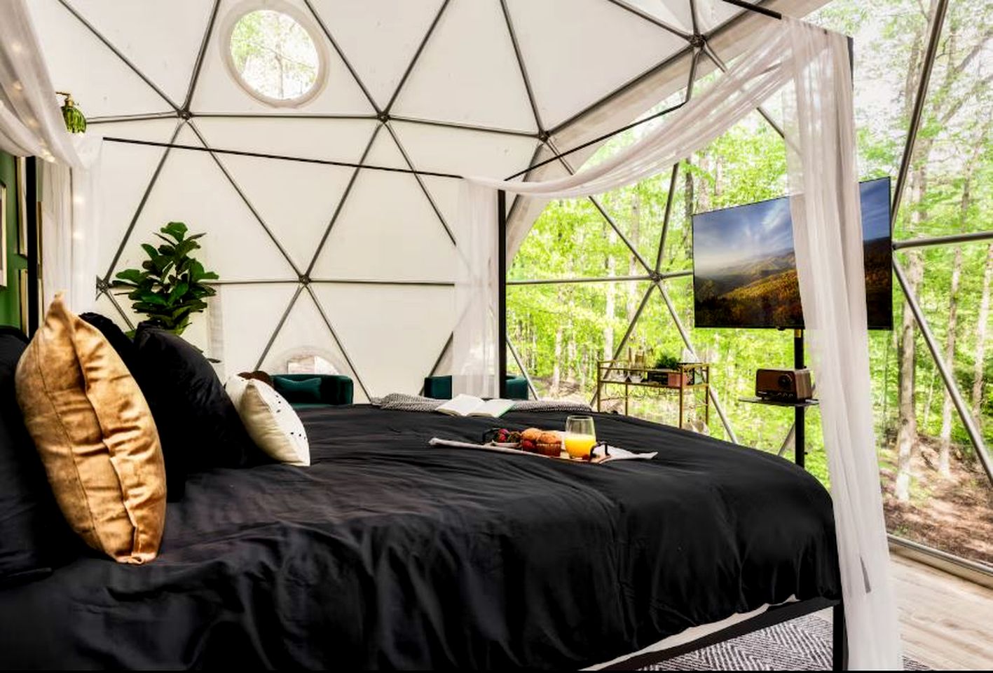 Cozy Dome Nestled in the Trees for an Unforgettable Couples Glamping Getaway in Scott County, Tennessee