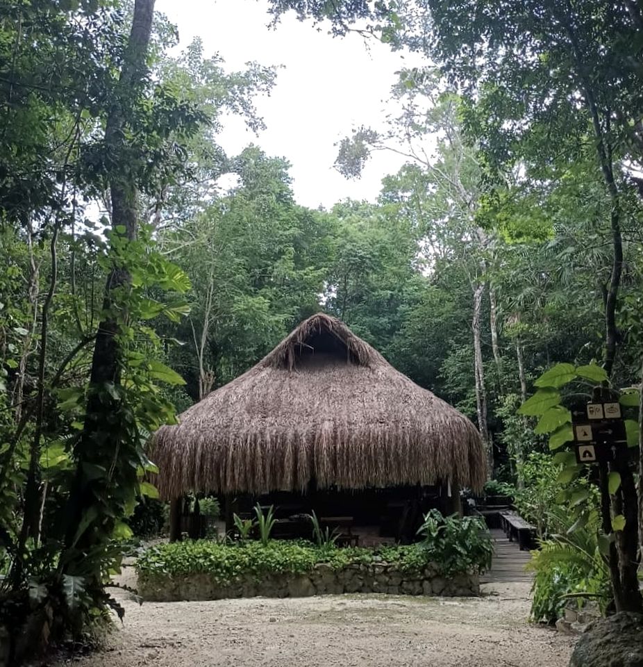 Unique Bell Tent Nestled in the Trees near Puerto Morelos in Quintana Roo for an Unforgettable Glamping Experience in Mexico