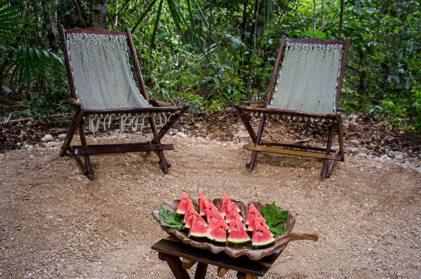 Unique Bell Tent Nestled in the Trees near Puerto Morelos in Quintana Roo for an Unforgettable Glamping Experience in Mexico