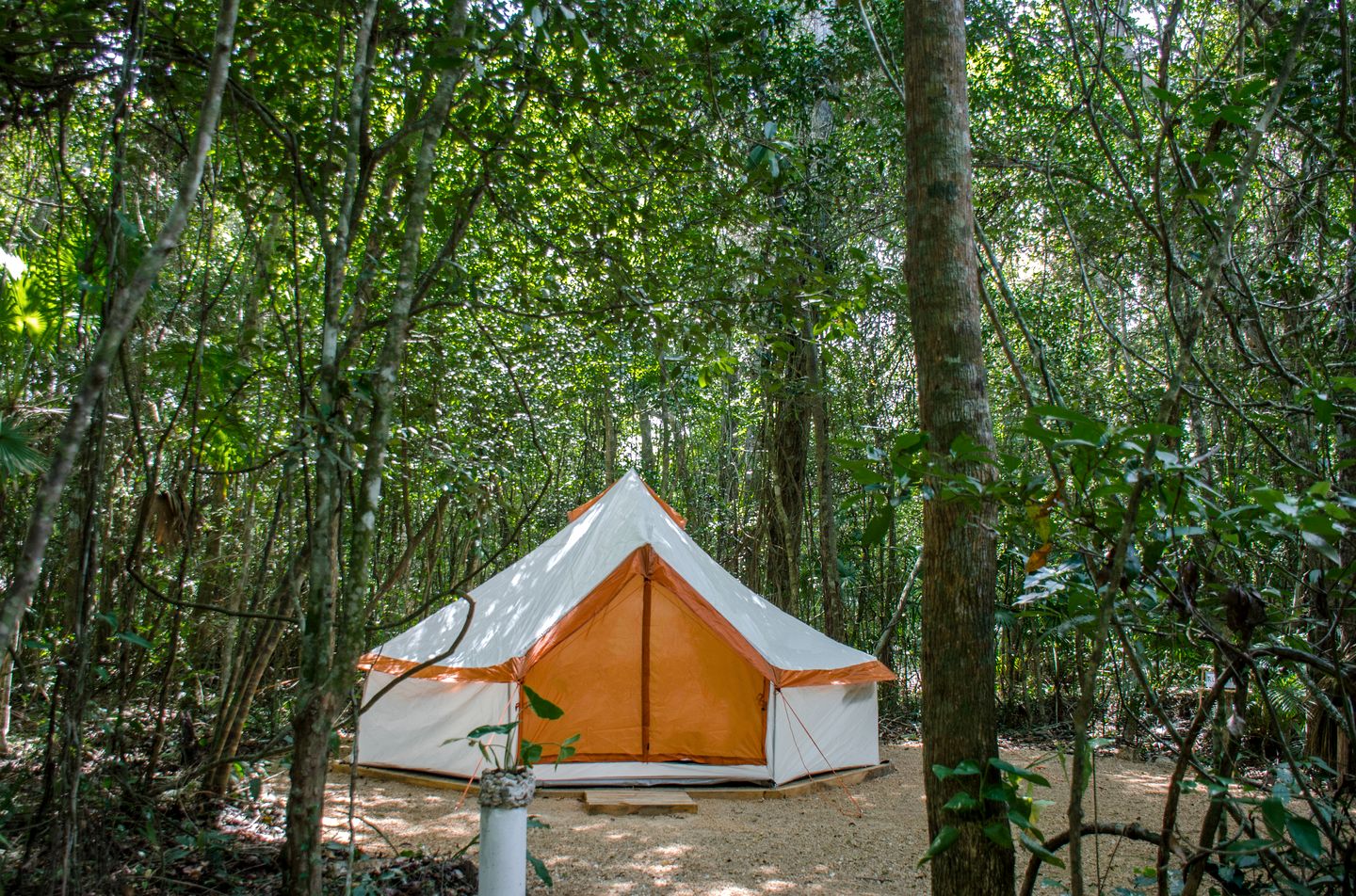 Unique Bell Tent Nestled in the Trees near Puerto Morelos in Quintana Roo for an Unforgettable Glamping Experience in Mexico