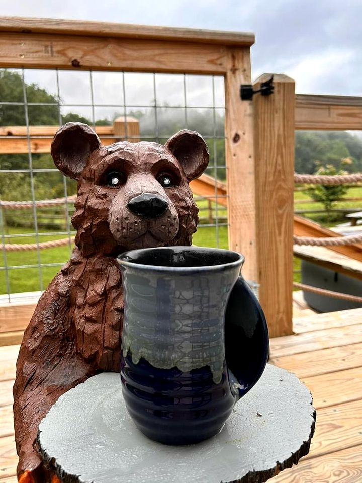 Cozy Tiny Cabin by the Creek for a Unique Pet-Friendly Getaway in Hillsville, Virginia