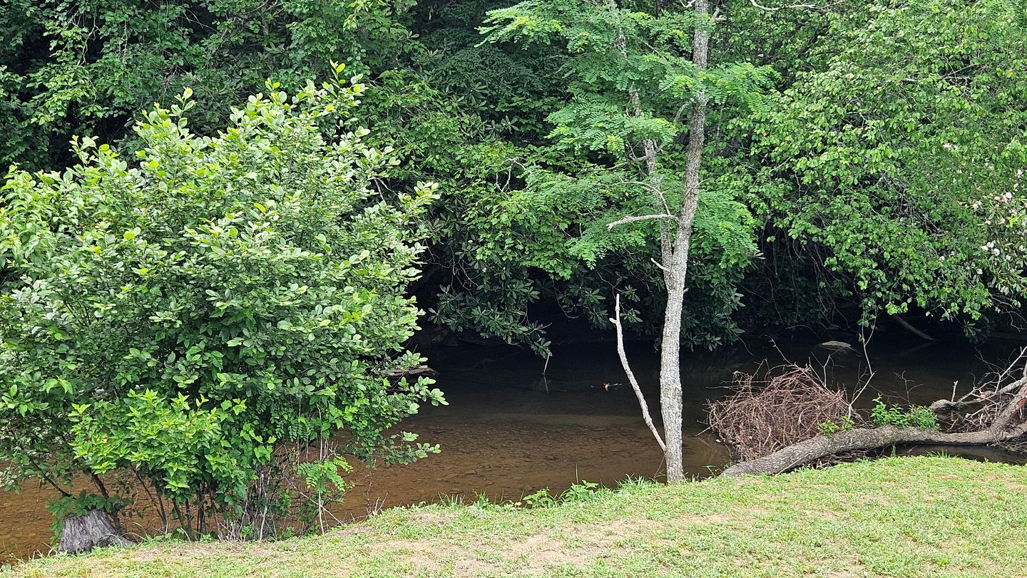 Cozy Tiny Cabin by the Creek for a Unique Pet-Friendly Getaway in Hillsville, Virginia