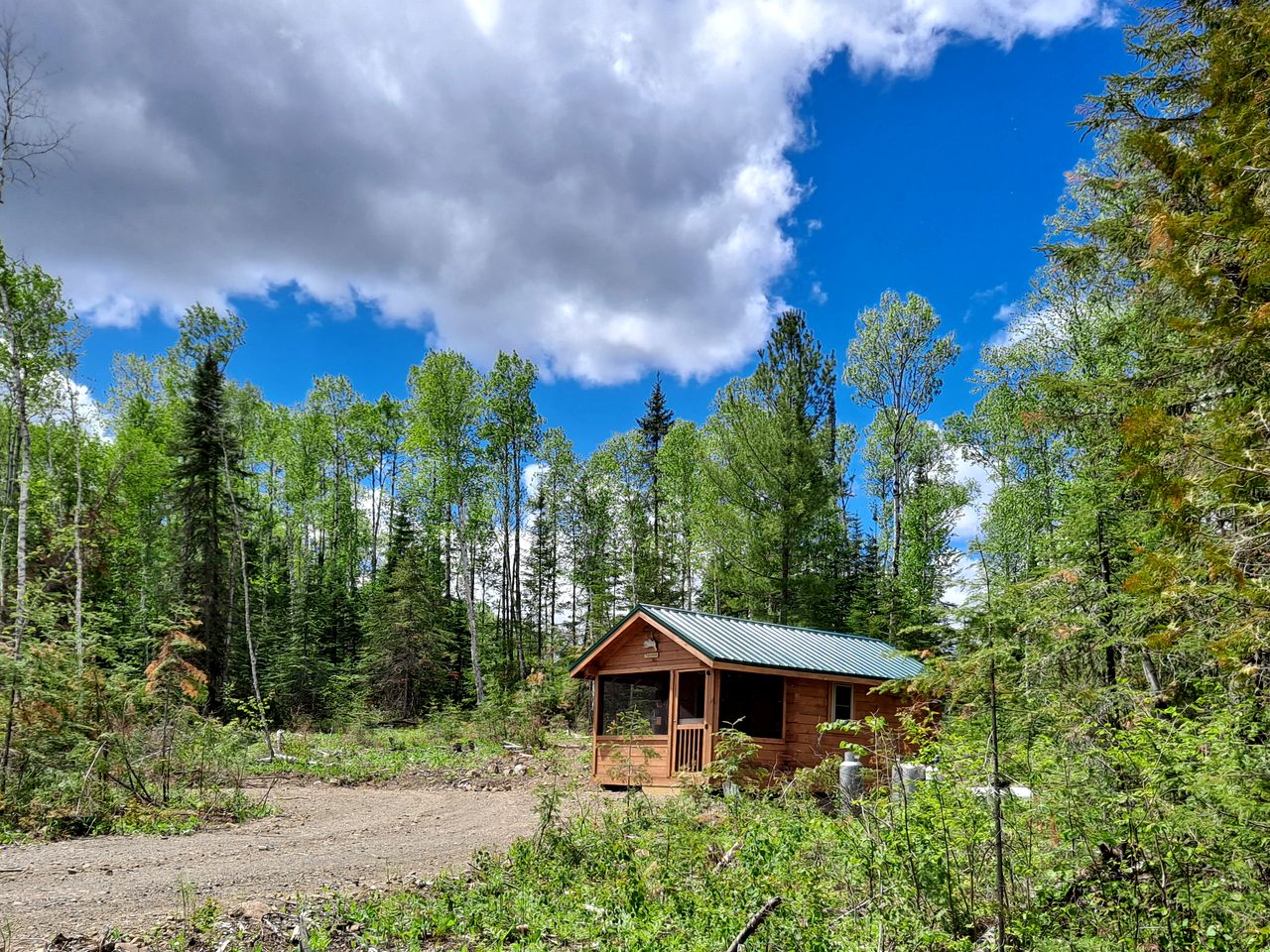 Cozy Tiny Cabin - Off-Grid Experience with Sled Dogs Year 'round in Minnesota
