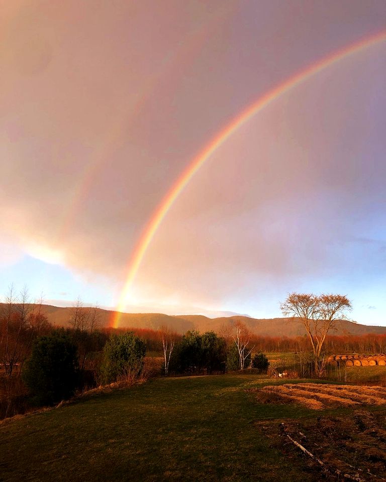 Gorgeous Bell Tent on a Beautiful Sanctuary for a Relaxing Glamping Experience in Luskville, Quebec
