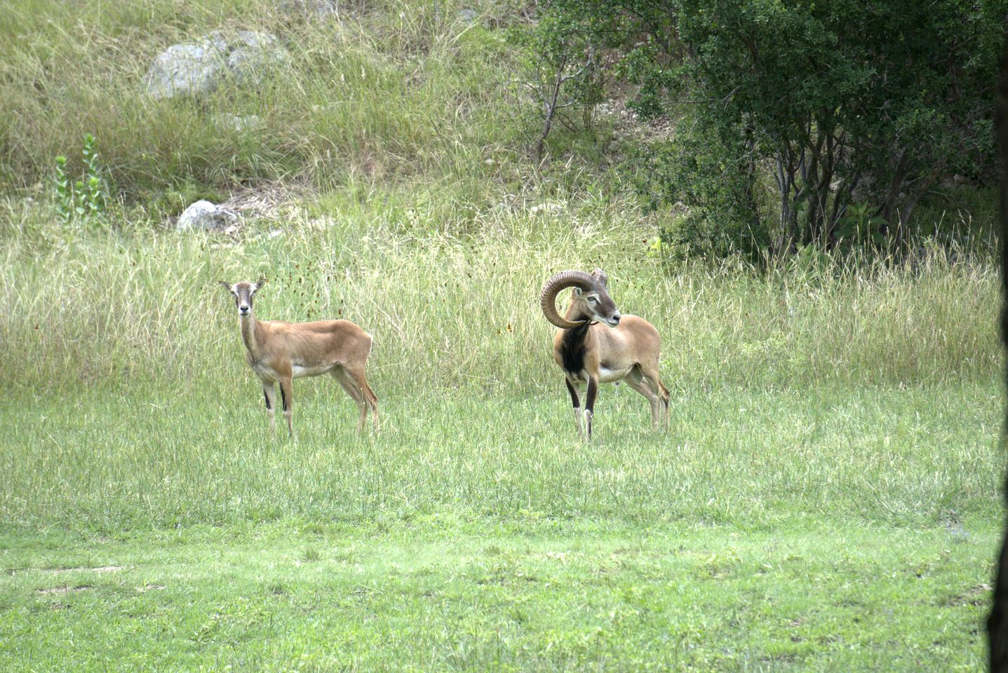 Peaceful Ranch Getaway with Scenic Trails on Private Hill Country Estate near Bandera, Texas