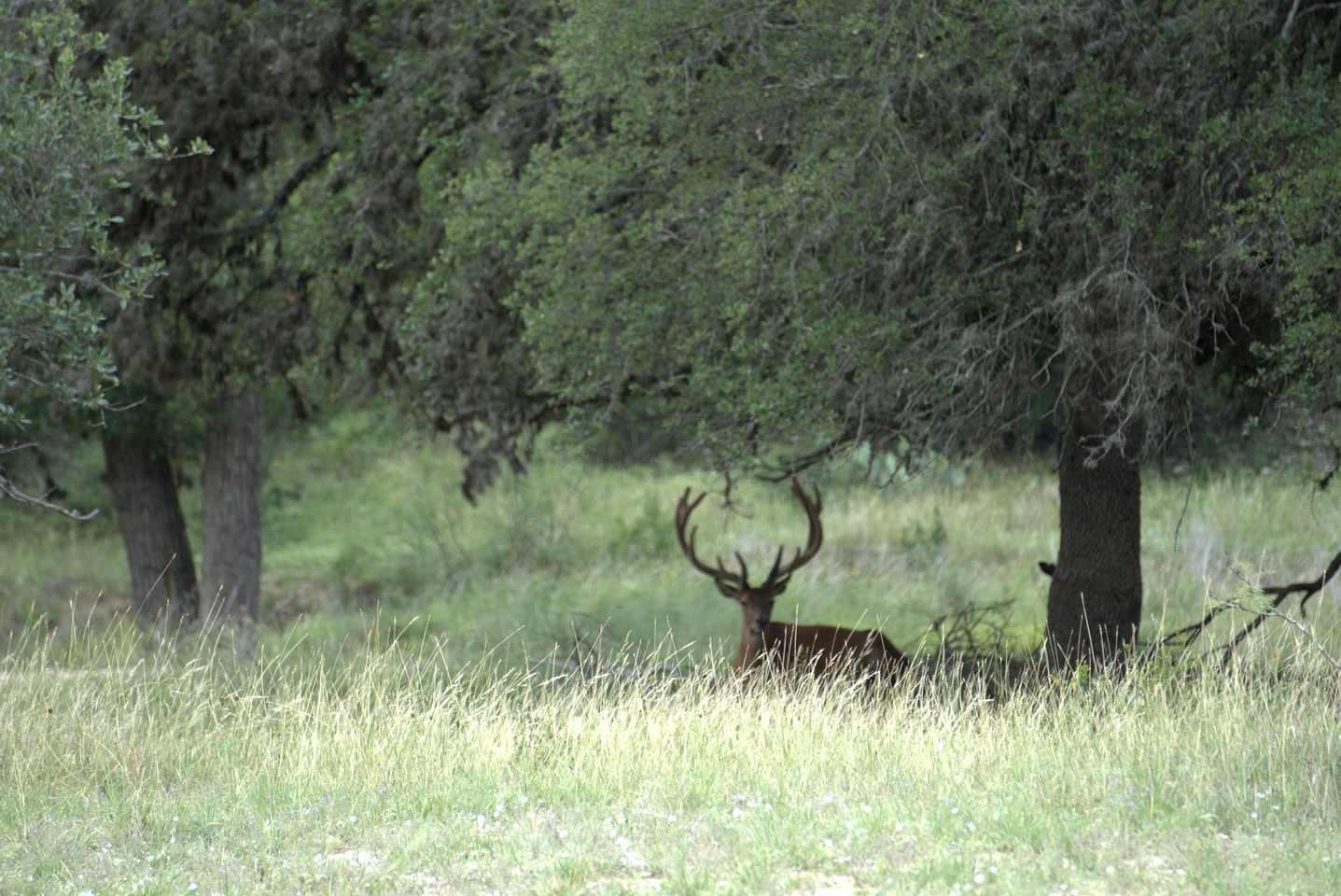Peaceful Ranch Getaway with Scenic Trails on Private Hill Country Estate near Bandera, Texas