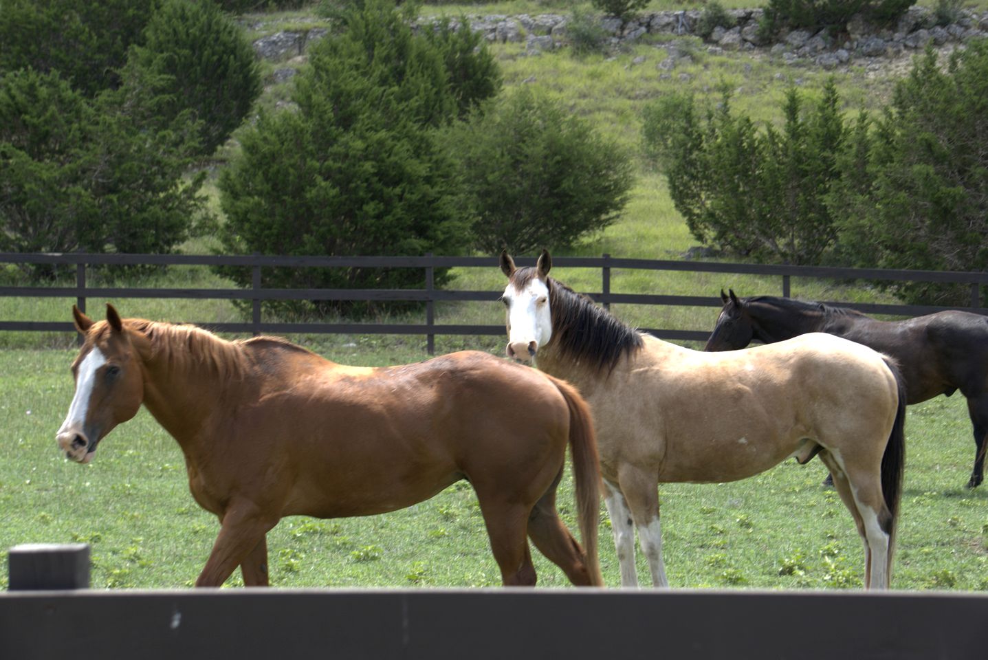 Peaceful Ranch Getaway with Scenic Trails on Private Hill Country Estate near Bandera, Texas