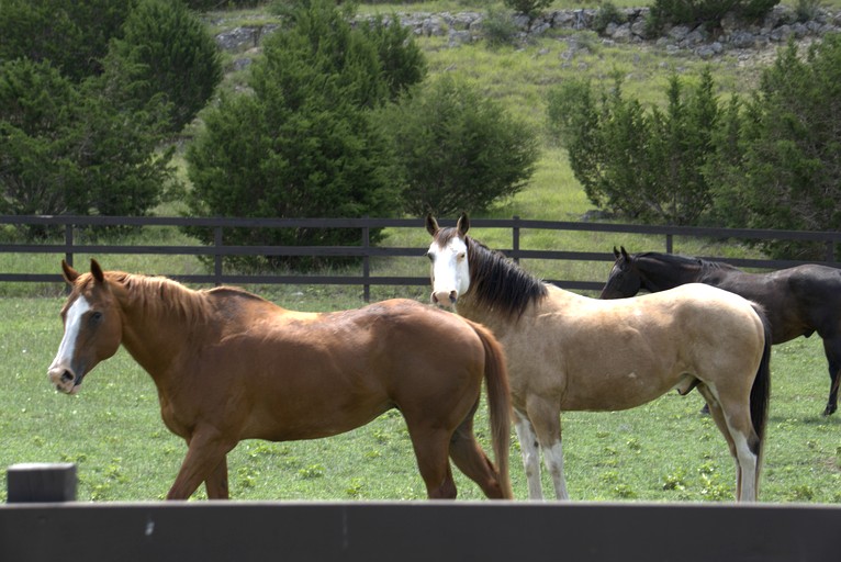 Cottages (United States of America, --, --)