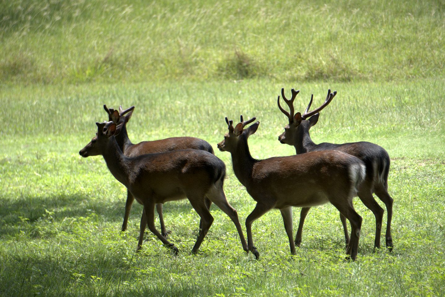 Peaceful Ranch Getaway with Scenic Trails on Private Hill Country Estate near Bandera, Texas