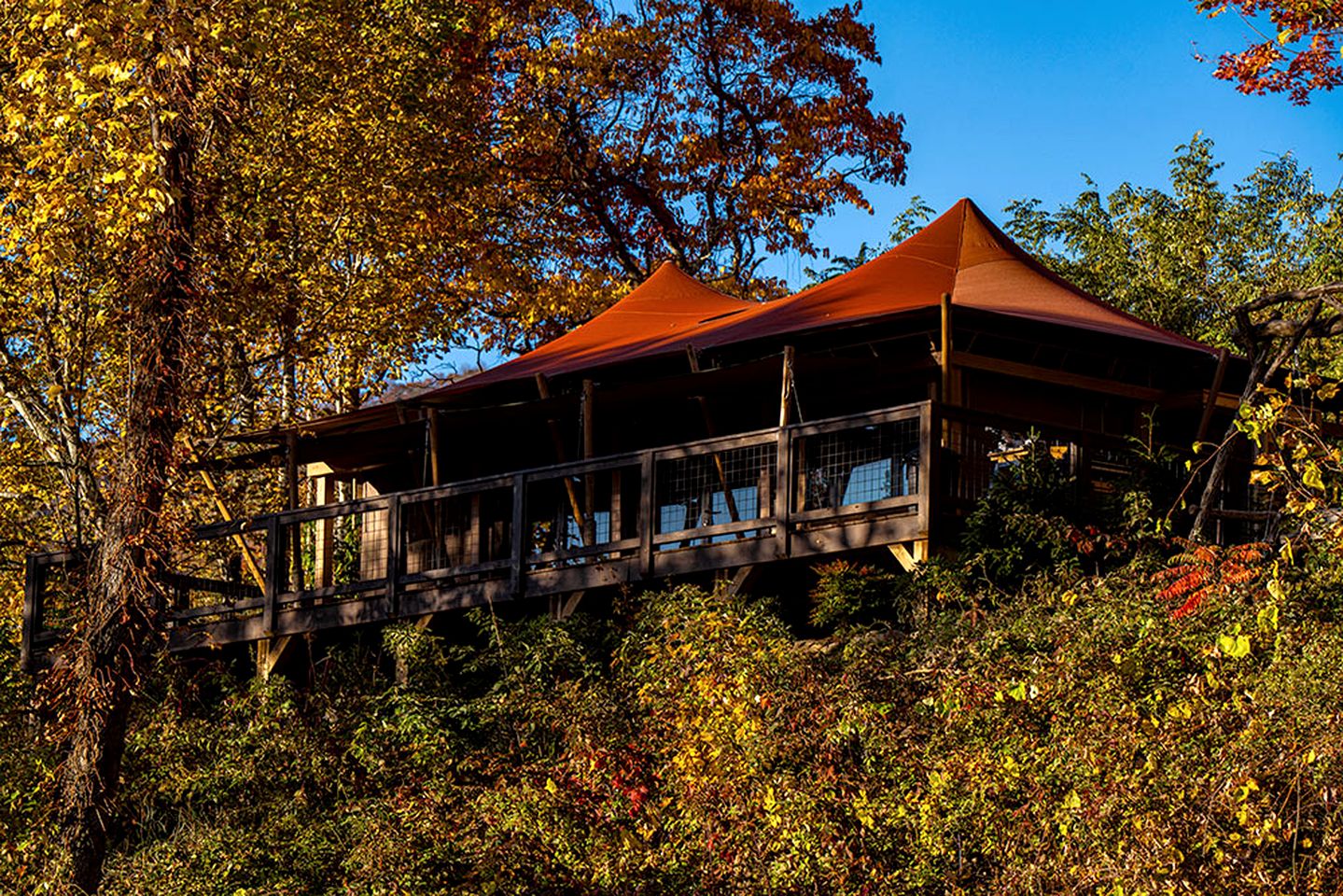 Incredible Safari Tent Nestled in the Heart of the Great Smoky Mountains for a Unique Glamping Getaway in North Carolina