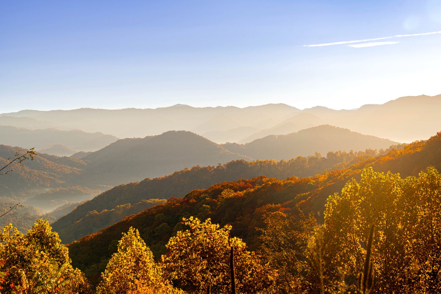 Incredible Safari Tent Nestled in the Heart of the Great Smoky Mountains for a Unique Glamping Getaway in North Carolina