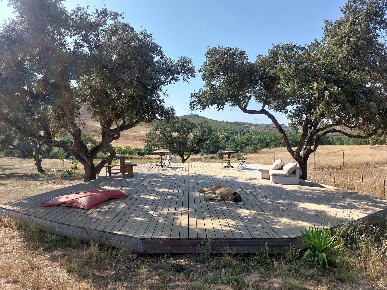 Cozy Caravan Surrounded by Forest and Rolling Valleys for a Unique Romantic Getaway in Beja District, Portugal