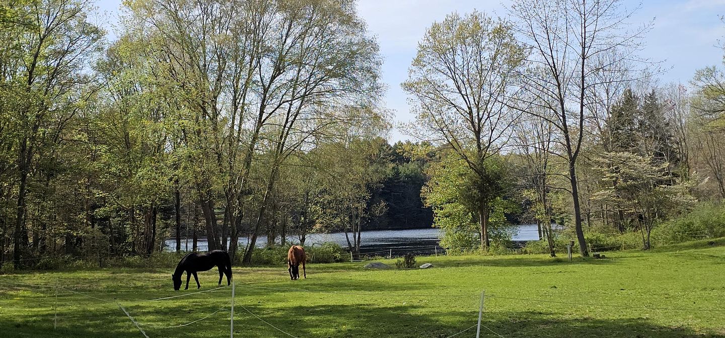 Enchanting Cottage Haven near Long Island Sound in Connecticut