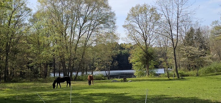 Cottages (United States of America, --, Connecticut)