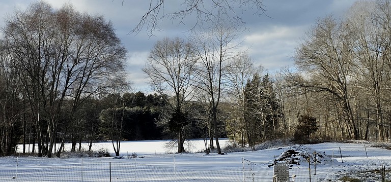 Cottages (United States of America, --, Connecticut)