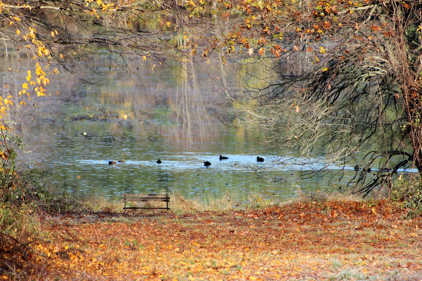 Enchanting Cottage Haven near Long Island Sound in Connecticut