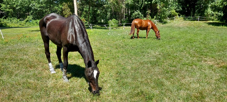Cottages (United States of America, --, Connecticut)