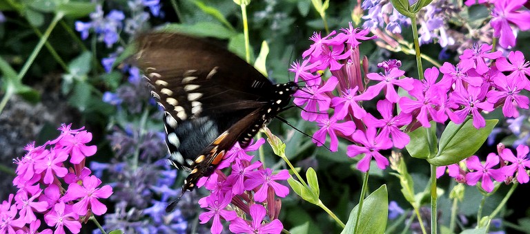 Cottages (United States of America, --, Connecticut)