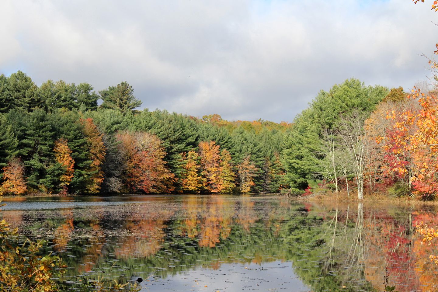 Enchanting Cottage Haven near Long Island Sound in Connecticut