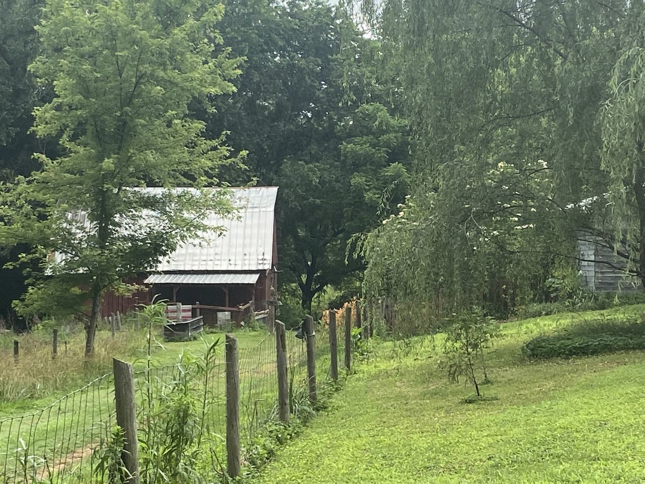 Cozy Bohemian Cottage Glamping with Rescue Animals near Starry Skies – Ararat, NC