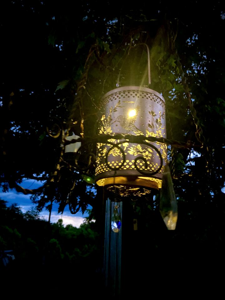 Cozy Bohemian Cottage Glamping with Rescue Animals near Starry Skies – Ararat, NC