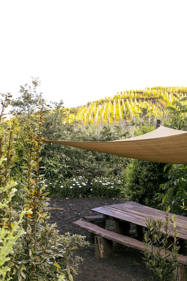 Gorgeous Safari Tent on the Slopes of Mount Etna for an Unforgettable Romantic Glamping Getaway in Sicily, Italy