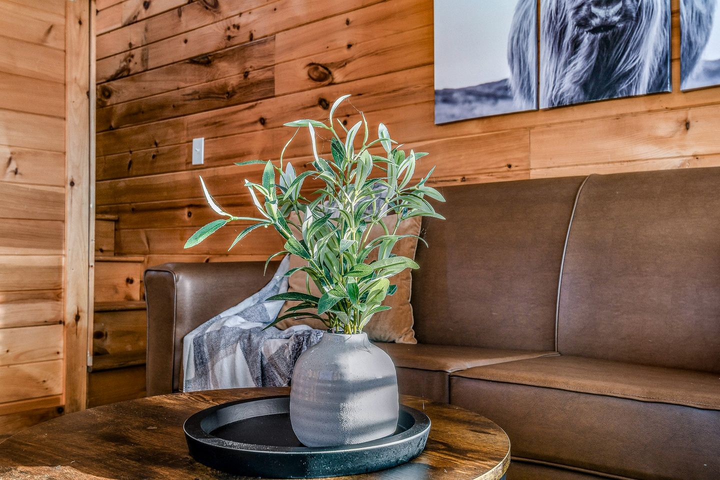 Romantic Tiny House in Sevierville for a Memorable Escape near the Great Smoky Mountains in Tennessee