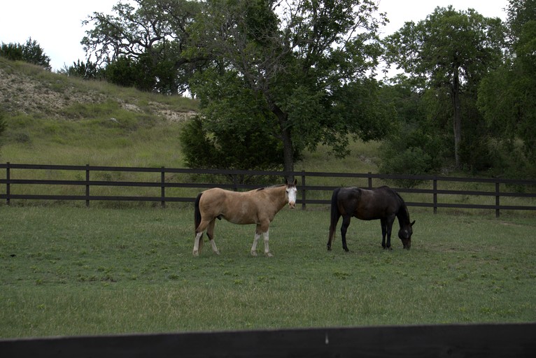 Cottages (United States of America, Bandera, Texas)