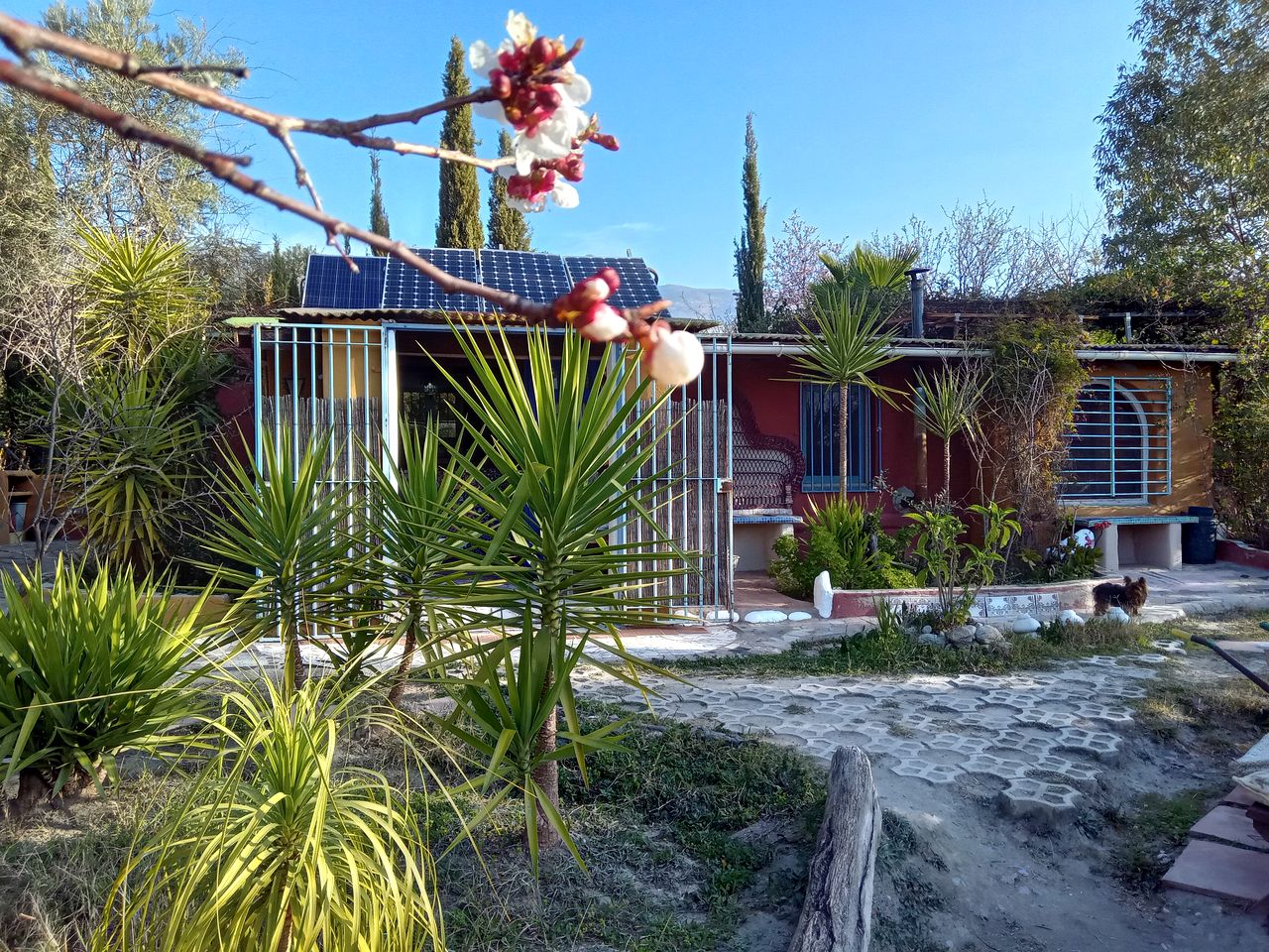 Unique Hand-Built Studio Cottage Nestled in the Natural Beauty of the Alpujarras in Andalusia, Spain