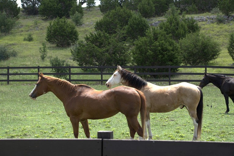 Cottages (United States of America, Bandera, Texas)
