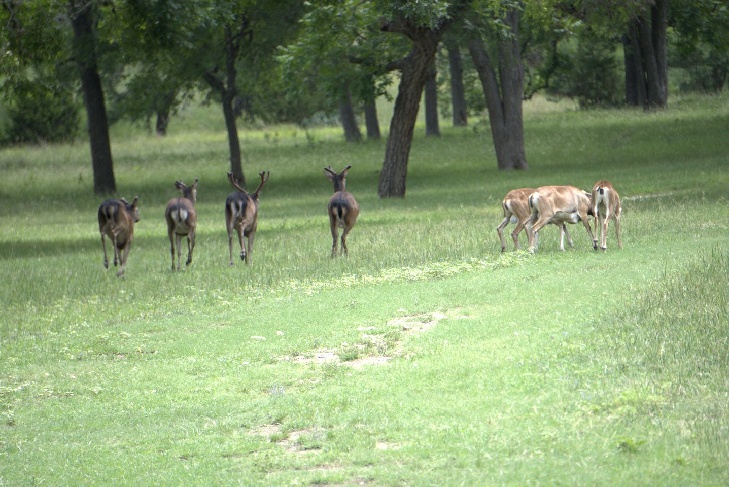 Enchanting Cottage Suite Haven near Medina River in Texas