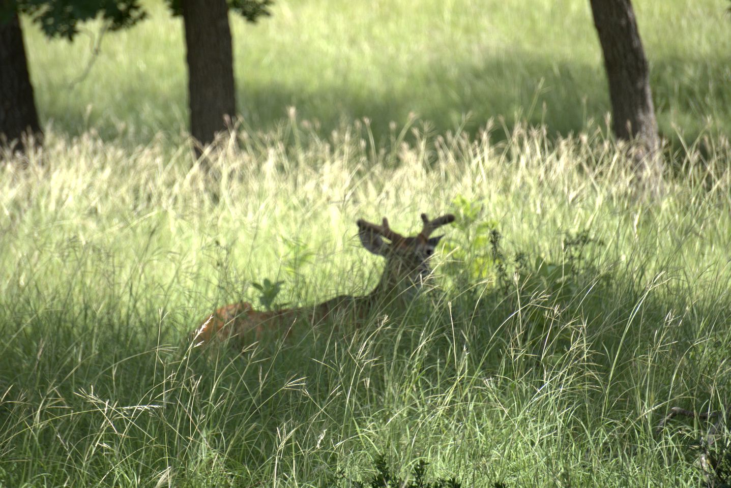 Enchanting Cottage Suite Haven near Medina River in Texas