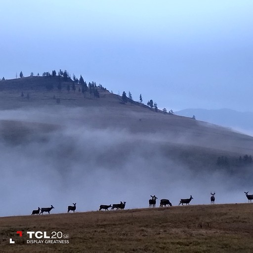 Domes (United States of America, Plains, Montana)